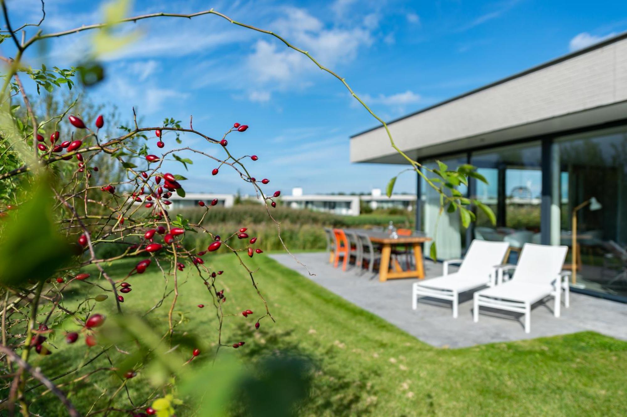 De Groote Duynen Hotel Kamperland Kültér fotó